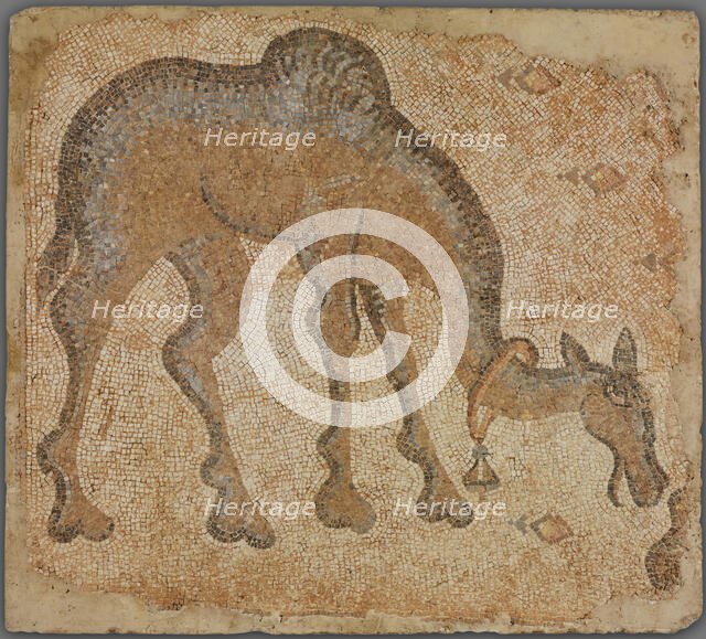 Mosaic Fragment with Grazing Camel, 5th century. Creator: Unknown.