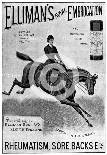 Advertisement for Elliman's Royal Embrocation, 1898. Creator: Unknown.