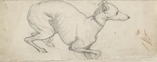 Study of a Greyhound, mid 19th century. Artist: Ford Madox Brown.