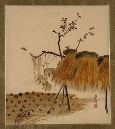 Lacquer Paintings of Various Subjects: Stack of Rice and Dragonflies, 1882. Creator: Shibata Zeshin.