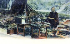 A man selling fruit under a tree, Hong Kong, China, c1900s. Artist: Unknown