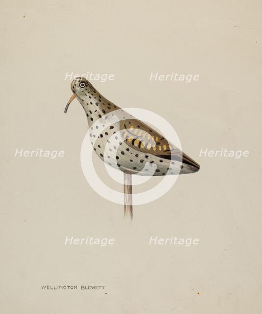 Decoy, c. 1939. Creator: Wellington Blewett.