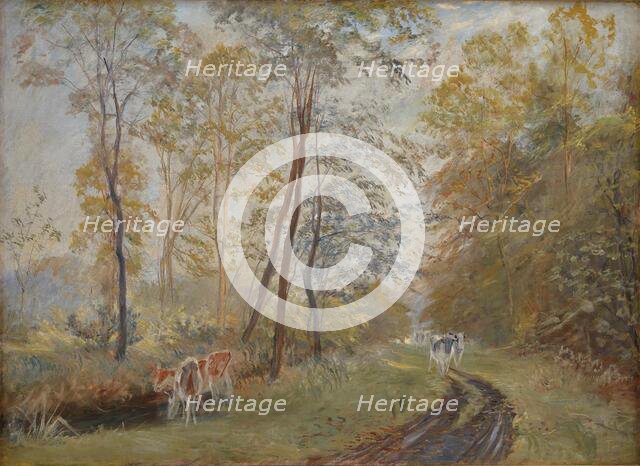 The River Sorteaa near Mejlgaard Manor, Jutland, 1894. Creator: Theodor Esbern Philipsen.