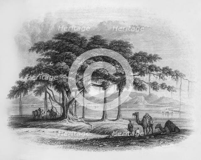 'Runjeet Singh's Encampment at Roopur', 1845. Creator: Unknown.