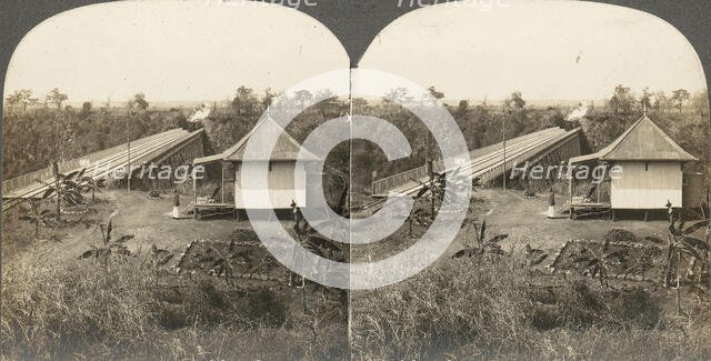 Group of 14 stereographs of Africa and Actors, 1850s-1910s. Creator: Kilburn Brothers.