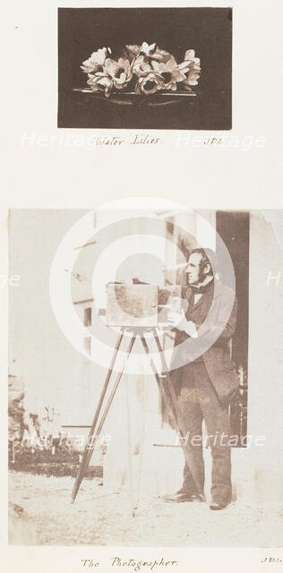 Water Lilies; The Photographer, 1853-56. Creator: John Dillwyn Llewelyn.