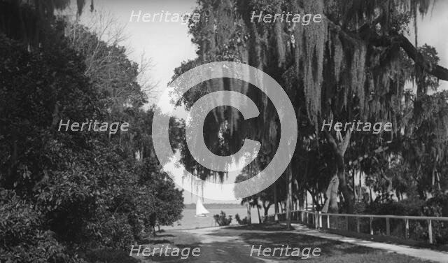 Indian River at Rockledge, Fla., c1901. Creator: Unknown.