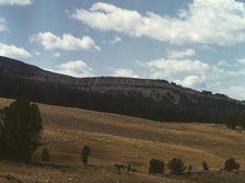 Bands of sheep on the Gravelly Range at the foot of Black Butte, Madison County, Montana, 1942. Creator: Russell Lee.