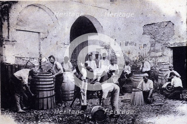 Workshop of handcrafted barrels construction for the wine industry, 1900.