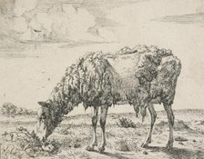 Cows and a sheep. Plate 8: A grazing sheep, 1664. Creator: Marcus de Bye.