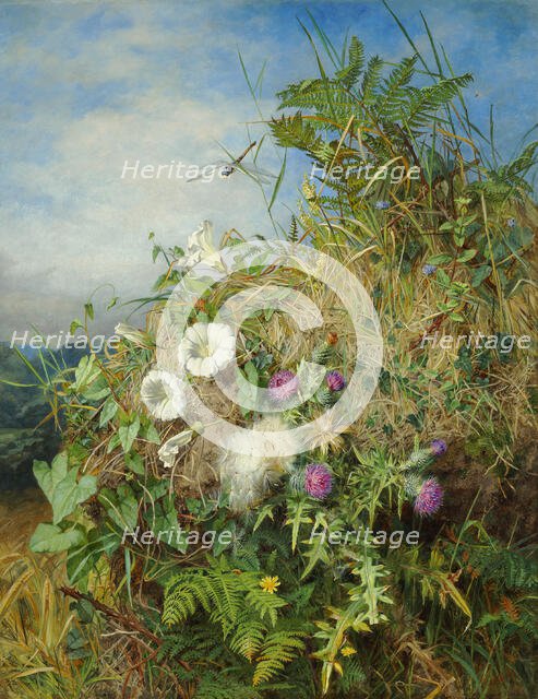 Wild flowers at the corner of a cornfield. Creator: Mutrie, Martha Darley (1824-1885).