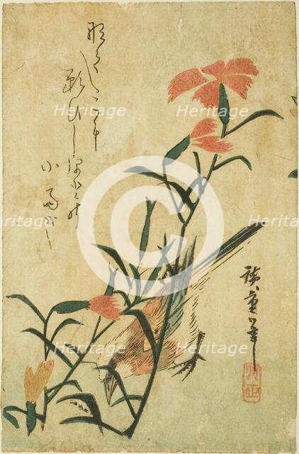 Bird and wild carnation, c. 1830s. Creator: Ando Hiroshige.