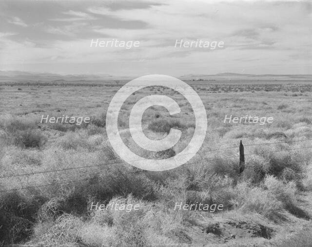 Abandoned farmland in the Columbia Basin, north of Quincy, Grant County, Washington, 1939. Creator: Dorothea Lange.