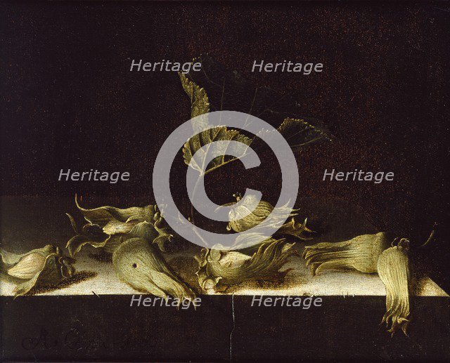 Still Life with Hazel-nuts, 1696. Artist: Adriaen Coorte.
