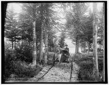 An Adirondack hand cart carry, c1902. Creator: William H. Jackson.
