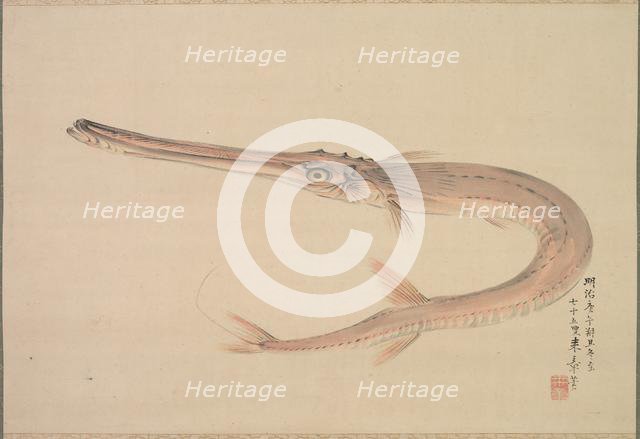 Needlefish (Yagara), 1870. Creator: Raisho Nakajima (Japanese, 1796-1871).
