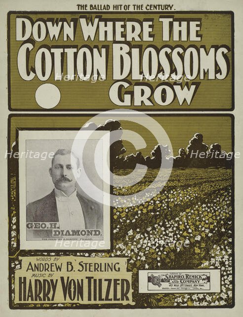 'Down where the cotton blossoms grow', 1901.  Creator: Unknown.