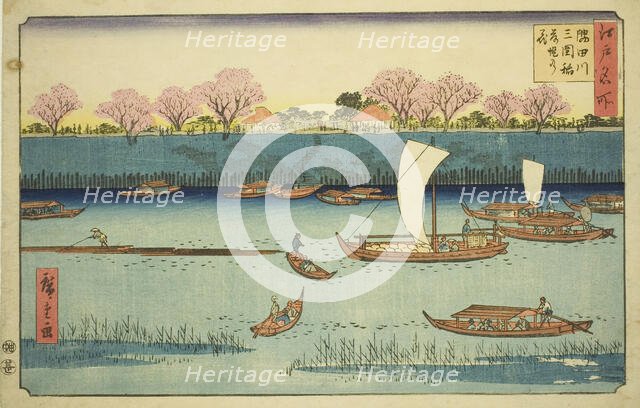 Cherry Trees along the Sumida River Embankment at the Mimeguri Inari Shrine..., c. 1840/58. Creator: Ando Hiroshige.