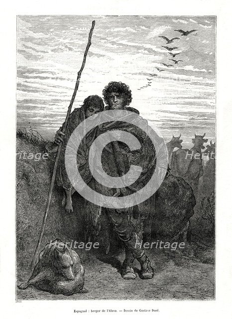 Shepherd of Alava, Spain, 1886. Artist: Unknown