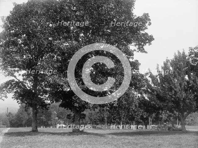 Toward the spring house, Poland Spring Hotel, South Poland, Maine, c1900. Creator: Unknown.