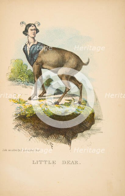 Little Dear, from The Comic Natural History of the Human Race, 1851. Creators: Henry Louis Stephens, L. Rosenthal.