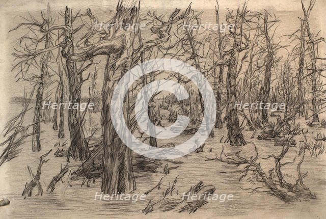 River Vakh, 1928. Creator: Dmitrii Innokent'evich Karatanov.