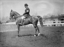 Horse Shows - Unidentified Men, Mtd. Or Hurdling, 1911. Creator: Harris & Ewing.