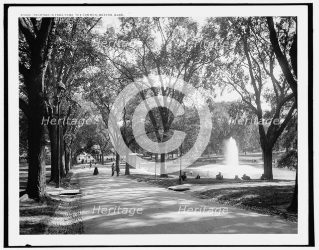 Fountain in frog pond, the Common, Boston, Mass., between 1890 and 1899. Creator: Unknown.