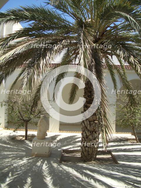 Palm tree and shadows, El Jem Archaeological Museum, Tunisia, 2009. Creator: Amanda Waite.