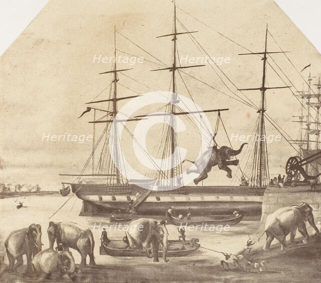 A Cargo of Seventy Elephants Landing from Burmah during the 1857 Mutiny], 1858-61. Creator: Unknown.