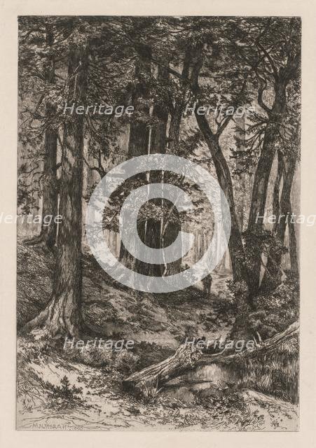 Interior of a California Forest (after Thomas Moran (American, 1837-1926)),, 1888. Creator: Mary Nimmo Moran (American, 1842-1899).