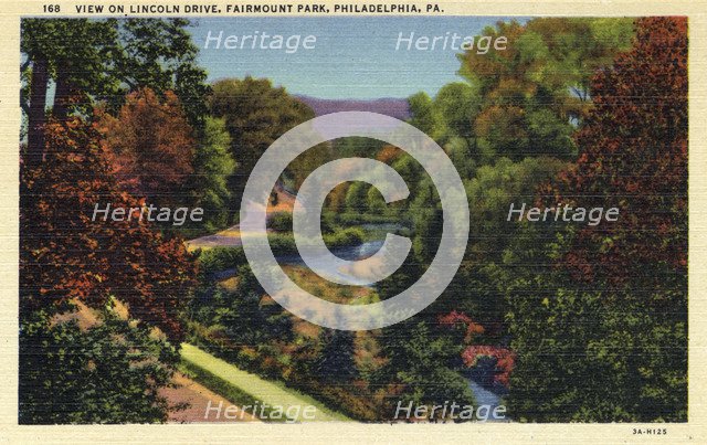 View on Lincoln Drive, Fairmount Park, Philadelphia, Pennsylvania, USA, 1933. Artist: Unknown