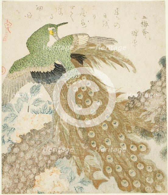 Peacock, Pine Tree, and Peonies, from the series "A Set of Three Petals..., Japan, 1810s. Creator: Kubo Shunman.