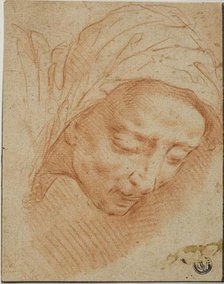 Woman's Head, n.d. Creator: Bernardino Poccetti.