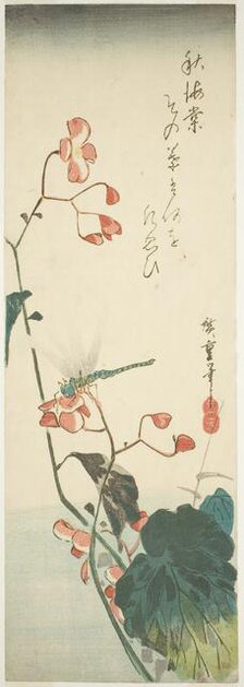 Dragonfly and begonia, 1830s. Creator: Ando Hiroshige.