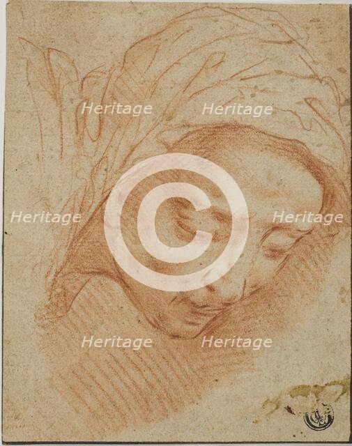 Woman's Head, n.d. Creator: Bernardino Poccetti.