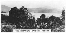 The Botanical Gardens, Hobart, Tasmania, 1928. Artist: Unknown