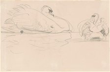 Swans in the Water, 1880-1900. Creator: John Singer Sargent.