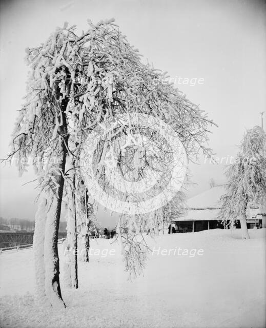 Snow studies, Prospect Park, Niagara, between 1880 and 1901. Creator: Unknown.