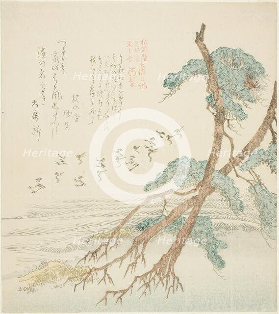 Pine Trees, from the series "Tosa Diary for the Shofudai, Hisakataya, and Bu..., early 19th century. Creator: Kubo Shunman.