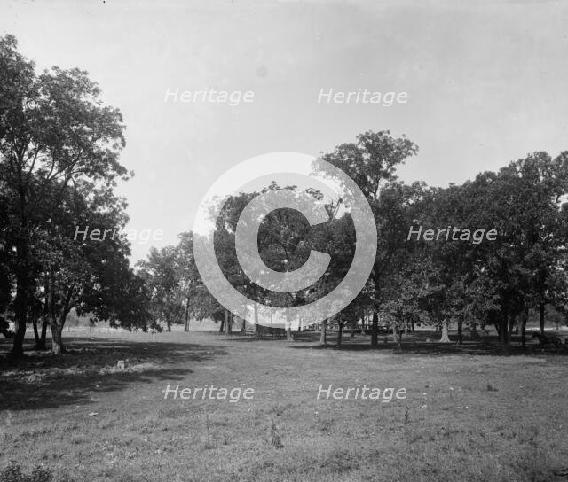 On the island [Island Park], Wilmington, Ill's., between 1900 and 1905. Creator: Unknown.