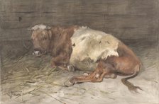 Steer lying down, 1848-1888. Creator: Anton Mauve.