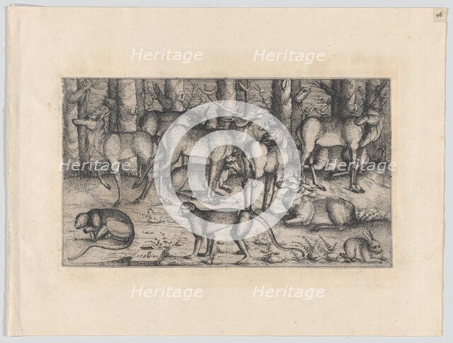 Stags in the Forest, 1545. Creator: Augustin Hirschvogel.