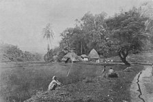 'Paddy Field near Gampola', c1890, (1910). Artist: Alfred William Amandus Plate.