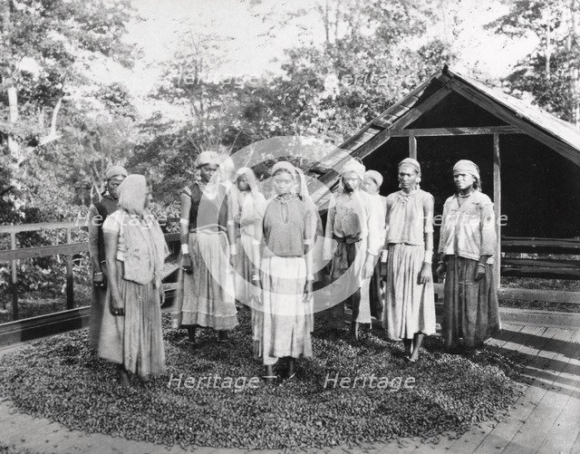 Group of women workers standing outside a cocoa drying house, 1897. Artist: Unknown
