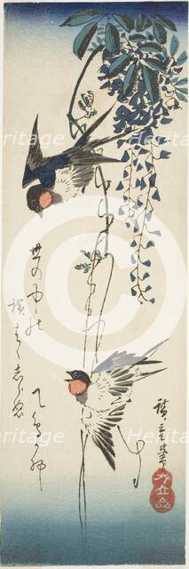 Swallows and wisteria, 1840s. Creator: Ando Hiroshige.