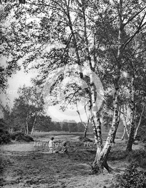 Putney Heath, London, 1926-1927. Artist: McLeish