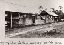 Drying sheds for cocoa, La Compensacions Estate, Trinidad, 1897. Artist: Unknown