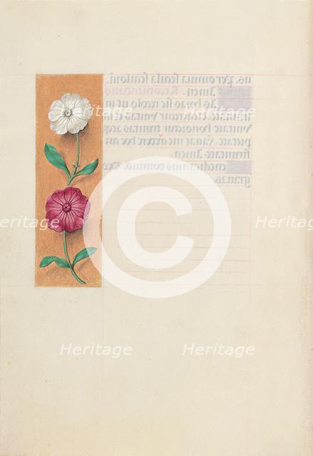 Hours of Queen Isabella the Catholic, Queen of Spain: Fol. 23v, c. 1500. Creator: Master of the First Prayerbook of Maximillian (Flemish, c. 1444-1519); Associates, and.