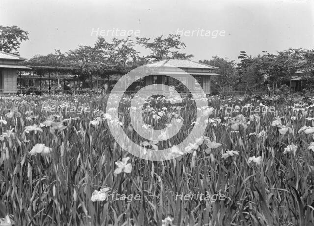 Travel views of Japan and Korea, 1908. Creator: Arnold Genthe.